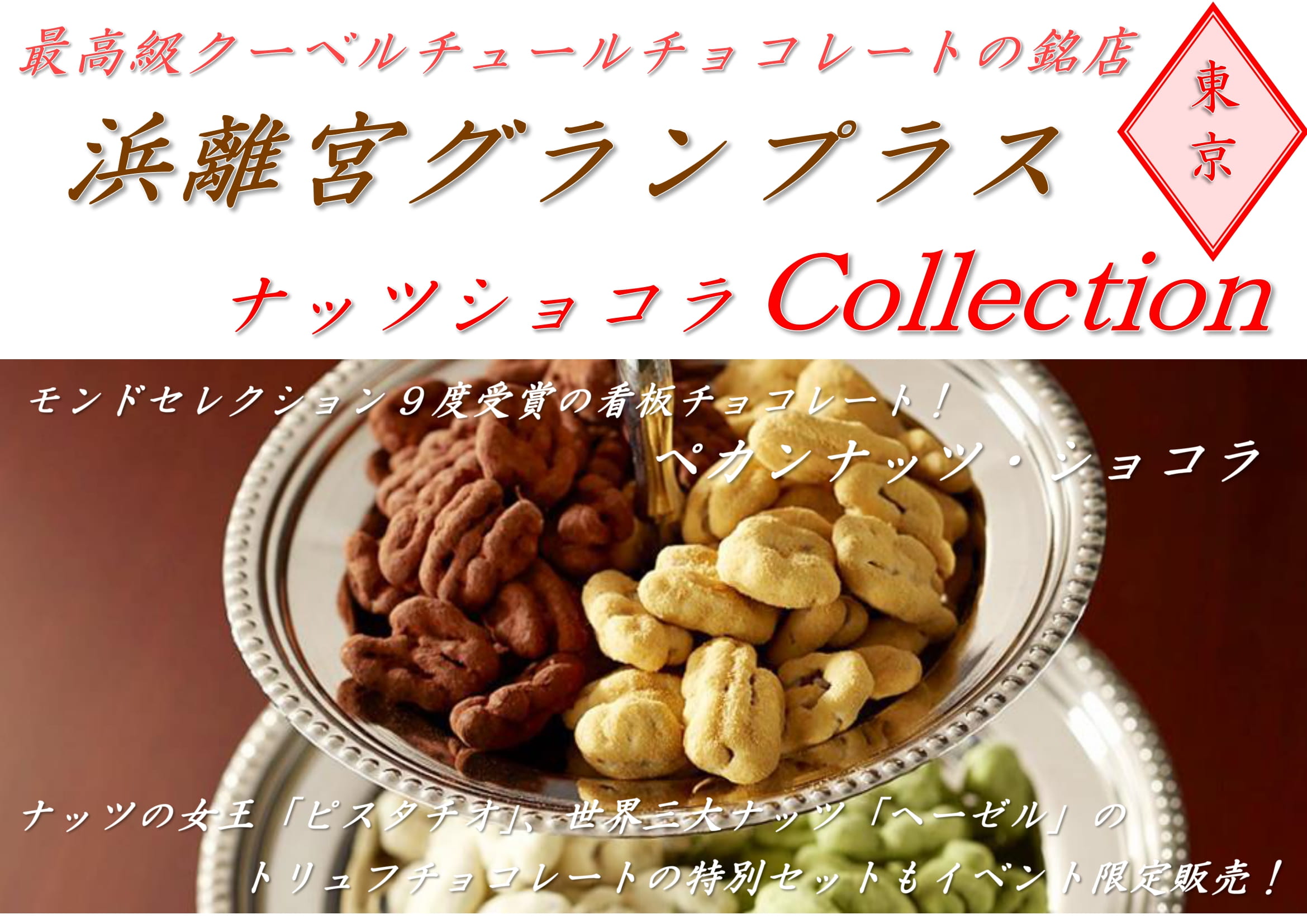 【ビジョン2】ナッツチョコレート-1